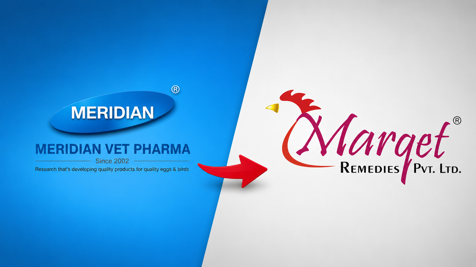 Mr. Madhav Awate, Founder of Marqet Remedies